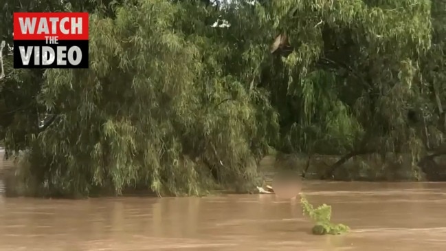 Three rescued from Myall Creek in Dalby