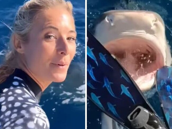 Ocean Ramsey's close encounter with a shark. Picture: Instagram