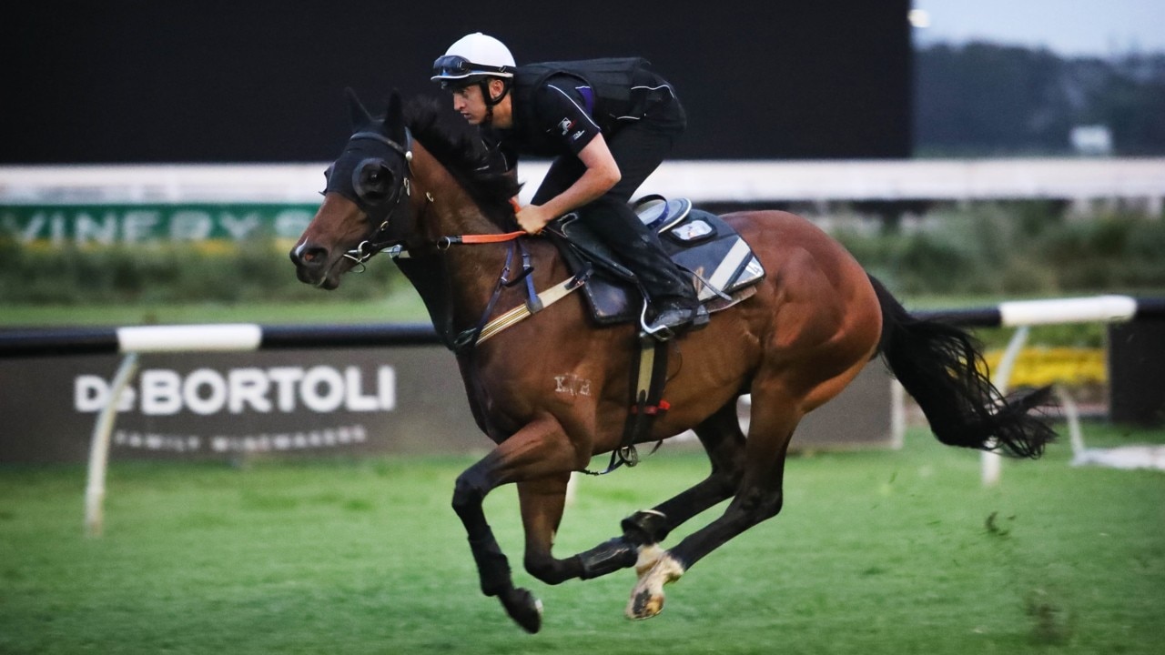 'Feels like spring already': Racing season kicks off today