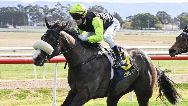 Just Gisella can bounce back from her last start defeat when she heads to Kembla on Thursday. Picture: Bradley Photos