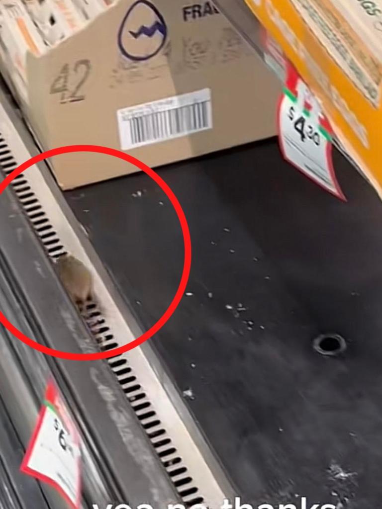 The little critter ran through the fridge aisles. Picture: TikTok/@gooooglyeyes