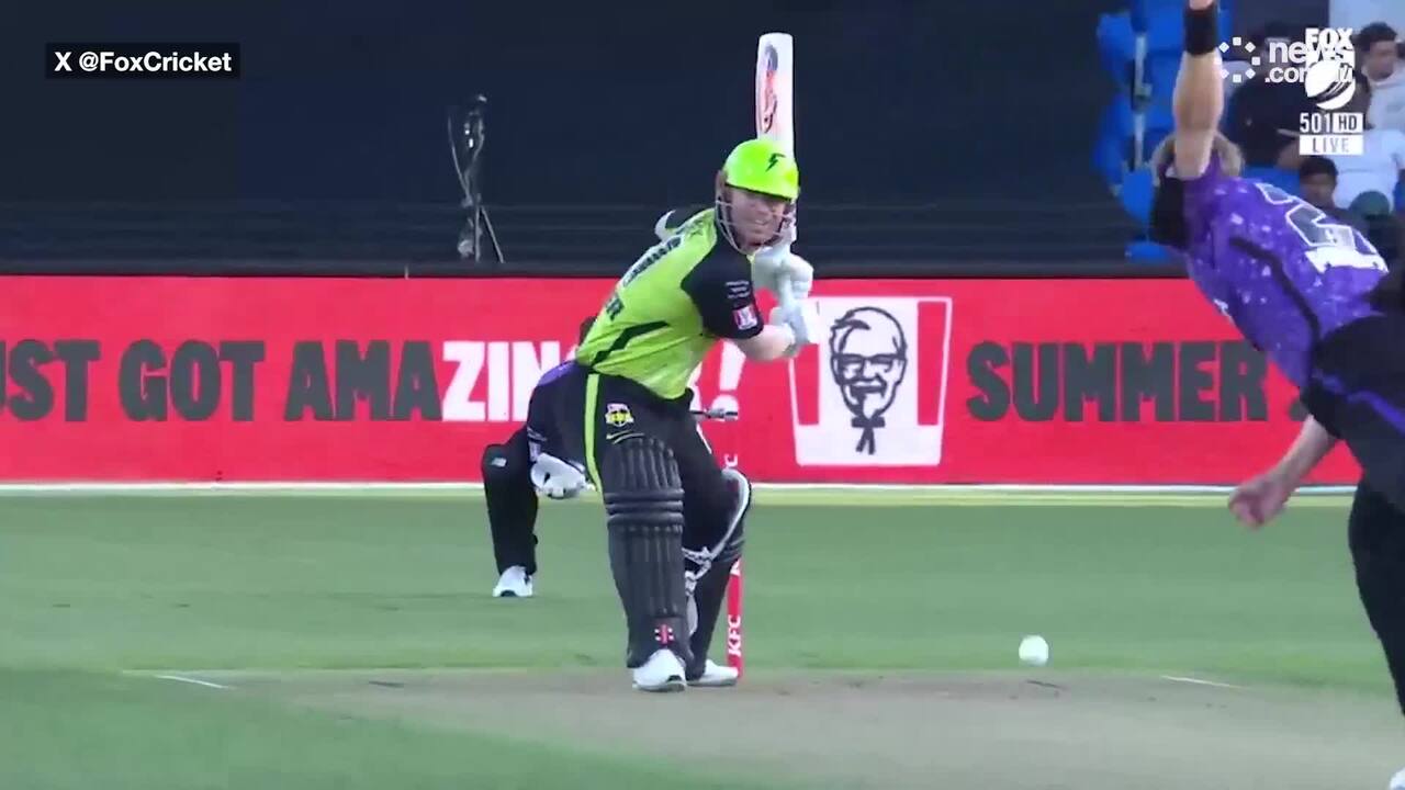 David Warner hits himself in head with bat