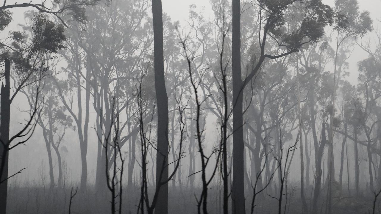 Long road to bushfire recovery