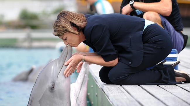 Queensland Premier Anna Bligh gives Hallie the dolphin a smooch during a visit to Sea World on the Gold Coast, during the 2009 campaign. Picture: Dave Hunt