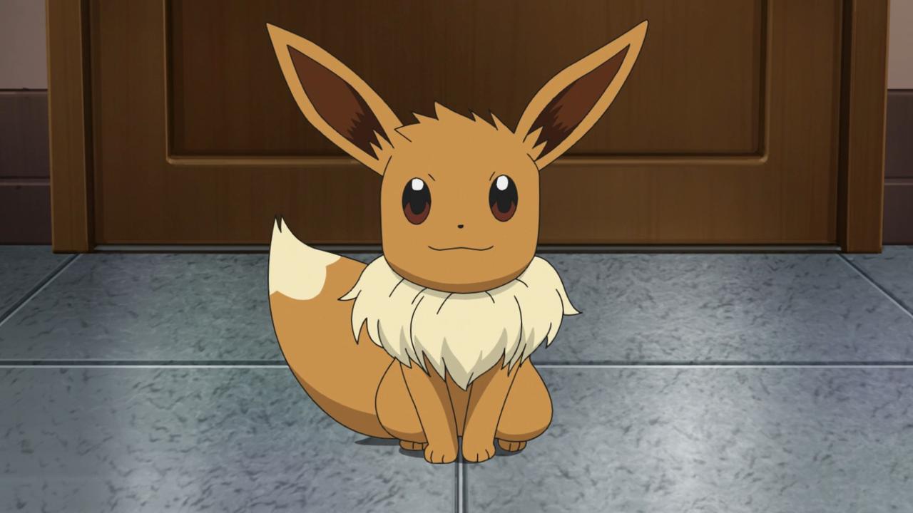 Pokemon: Pikachu & Friends Starring Eevee - Best Buy