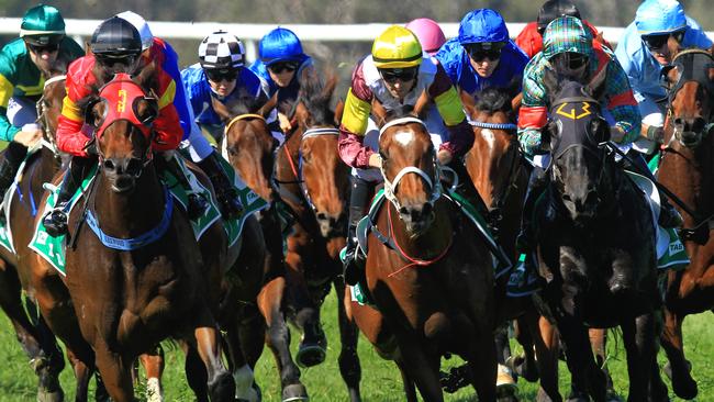 Loving home ridden by Tye Angland  (yellow cap, maroon with yellow armbands) wins race 1 during Scone  Races located in the Upper Hunter Region of NSW. The Bend . Pic Jenny Evans