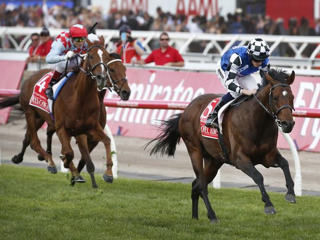 Protectionist wins the 2014 Melbourne Cup. Picture: David Caird