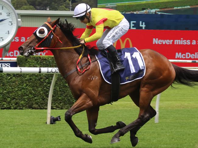 Room Number is coming off a big win at Randwick last Saturday. Picture: Grant Guy