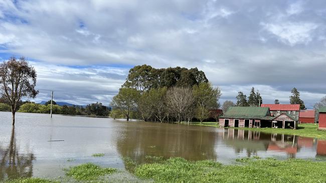 Flooding at Drumreagh Cabins at Deloraine has cut the property off in two directions. Picture: Melissa Sherriff