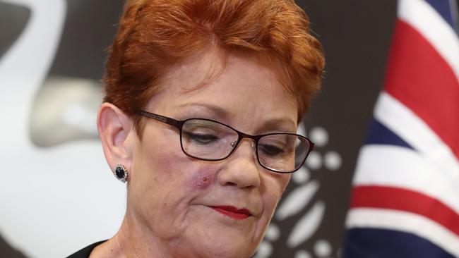 Senator Pauline Hanson last week was bitten by tick. Picture: Liam Kidston