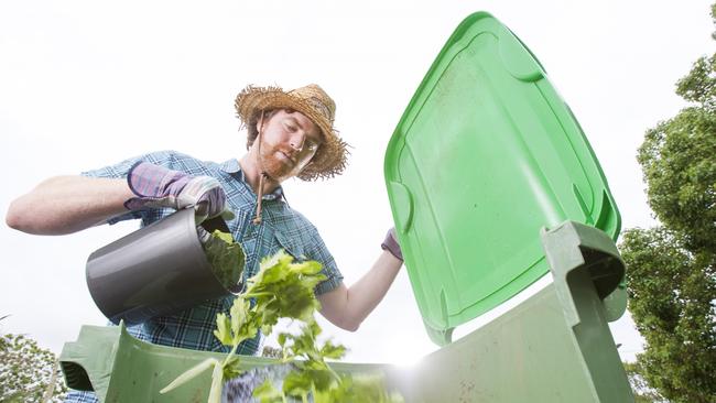 About 1000 households in Ipswich will receive a 240-litre green-top bin as part of the trial, which will be collected weekly.