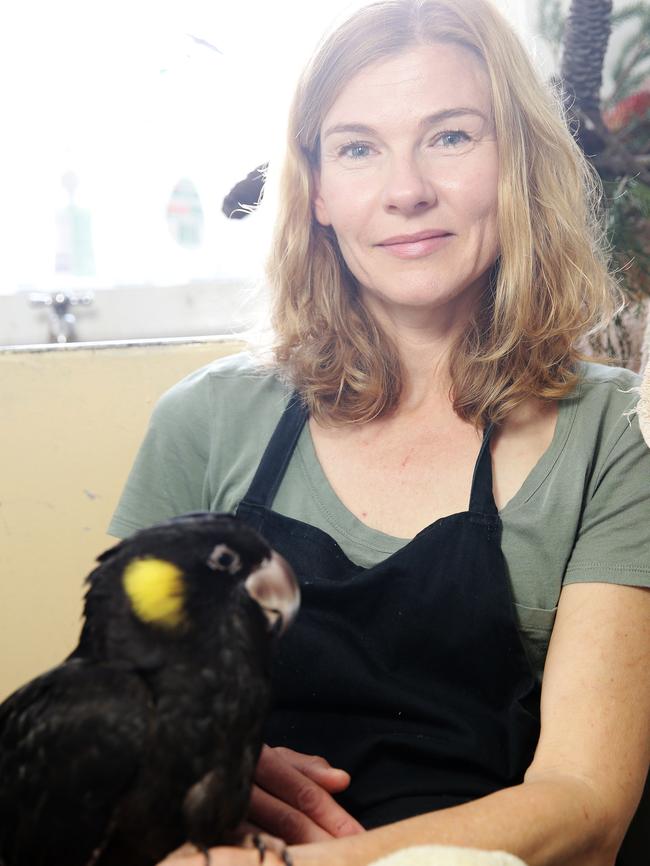 Angela Robertson-Buchanan with the black cockatoo found at Marrickville Park.