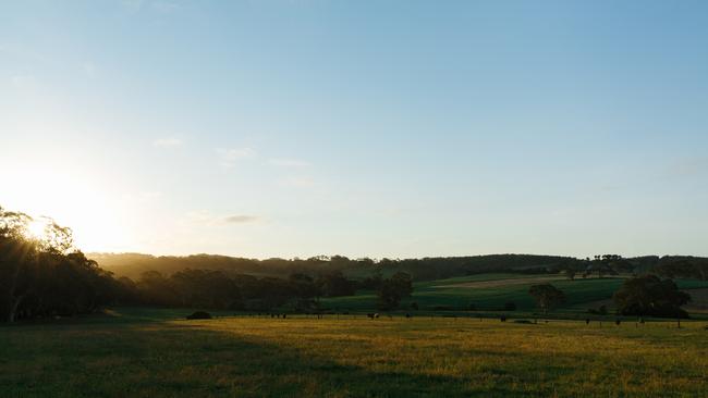 The site of the Newenham development off Flaxley Rd, which connects to Bollen Rd, in Mount Barker. The school will go on Bollen Rd.