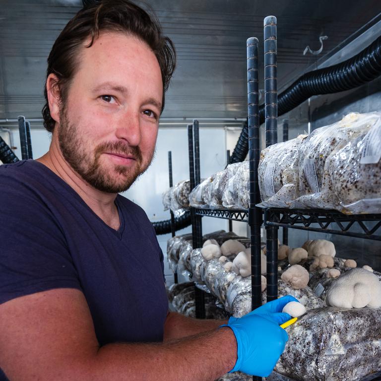 His mushroom obsession has become a multimillion dollar business.