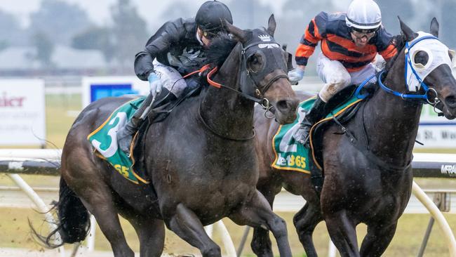 Capper Thirtynine could completed back-to-back wins when the gelding heads to the Ballarat Synthetic track on Tuesday. Picture: Racing Photos via Getty Images.