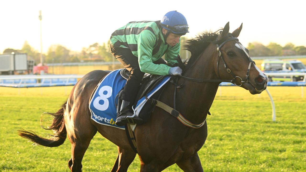 Caulfield Social sparkles for midweek punters