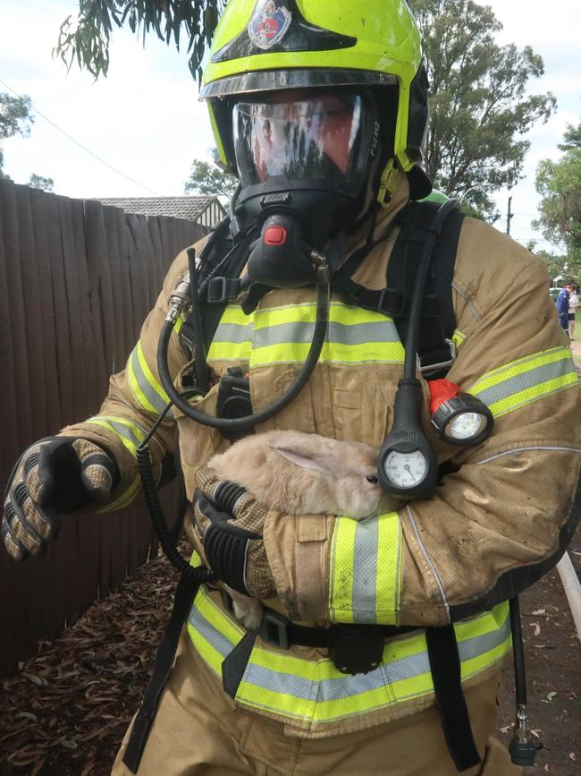 Melly the bunny was left behind but found uninjured. Picture: Fire and Rescue NSW