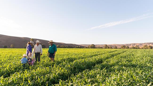 The AgriStarter Loan was created to help young farmers purchase their own farm.