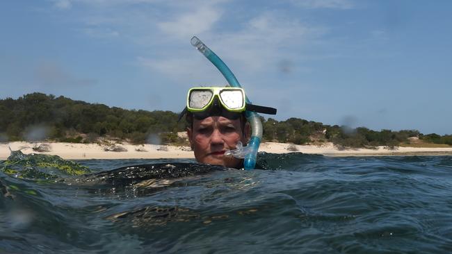Pauline Hanson snorkels on the Great Barrier Reef off Great Keppel Island, Queensland. Picture: AAP Image/Dan Peled.