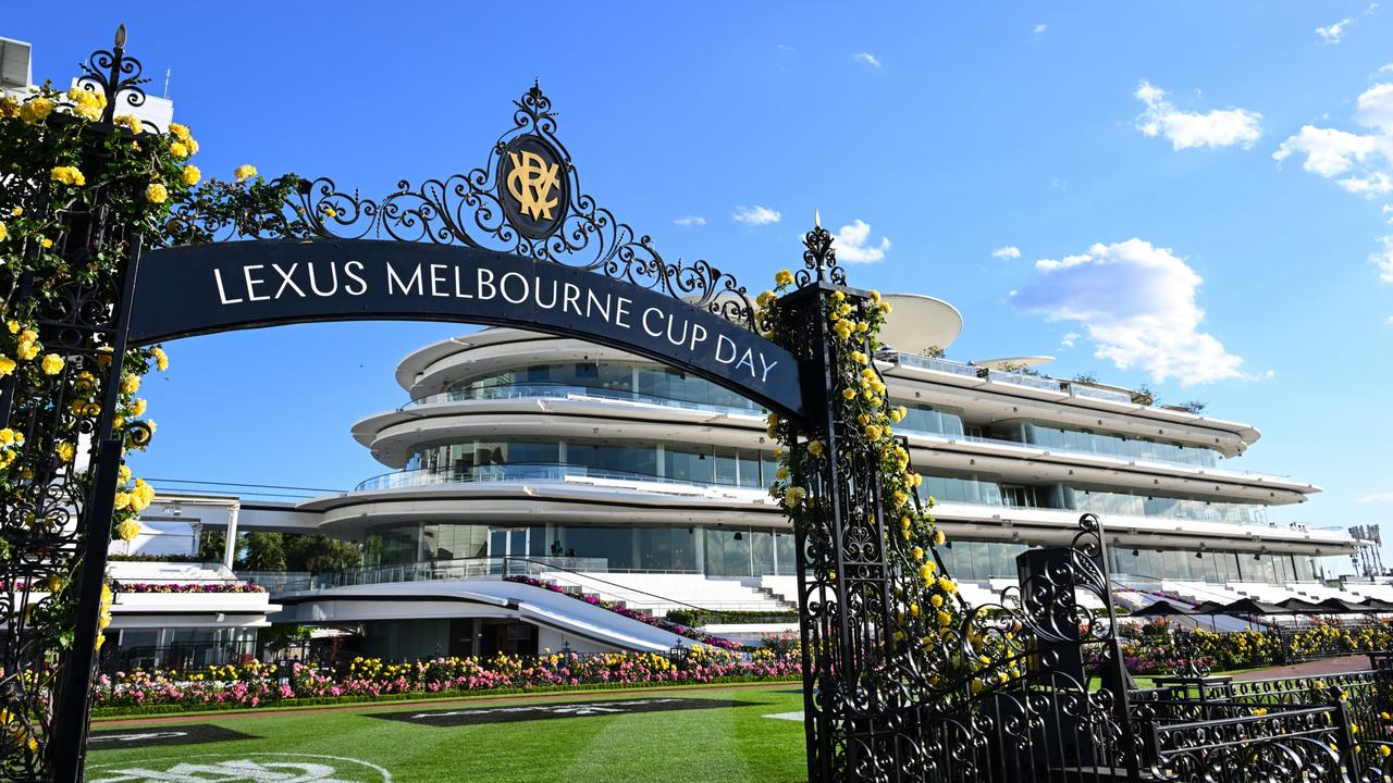 Vegan activist Tash Peterson storms Ascot Racecourse on Melbourne Cup Day