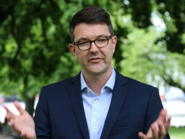 Labor MLC for Huon Bastian Seidel speaks to the media on Parliament Lawns on Monday, November 8, 2021.