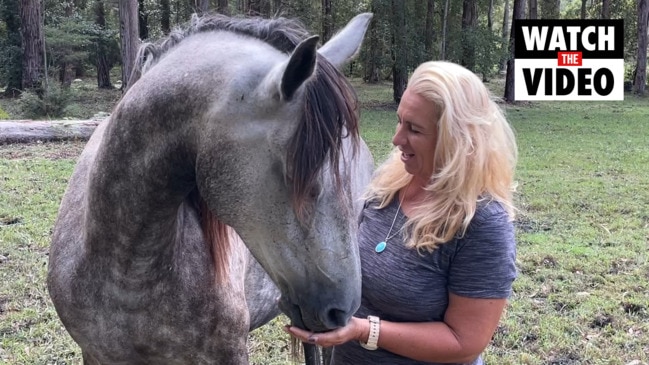 Woodburn Horses reunited with owner