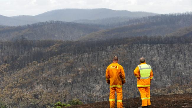 Bushfire ravaged the area in the Yarra Valley, taken on Black Saturday.