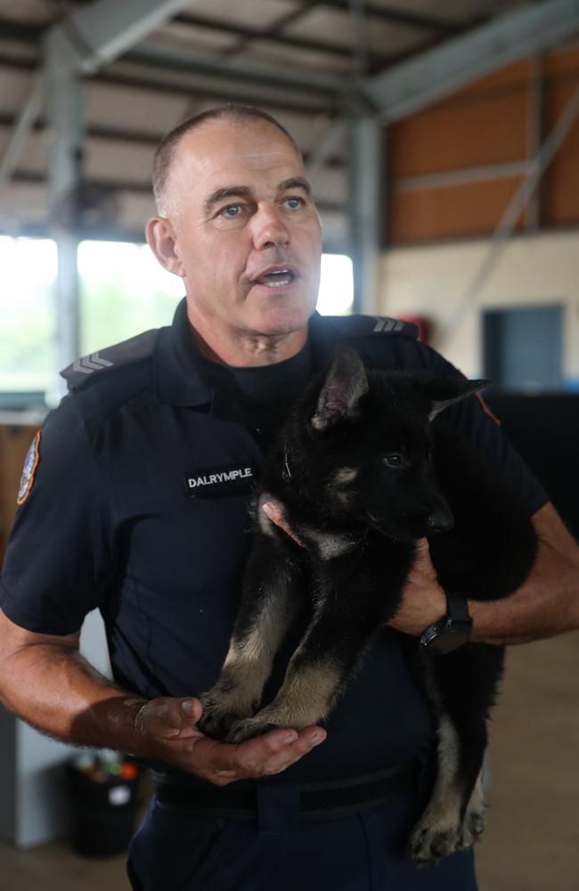 NT Police Dog Operations Unit Senior Constable Steven Dalrymple with the squads newest recruits, Axe and Jax. Constable Dalrymple's canine partner Drax is the puppy's father.