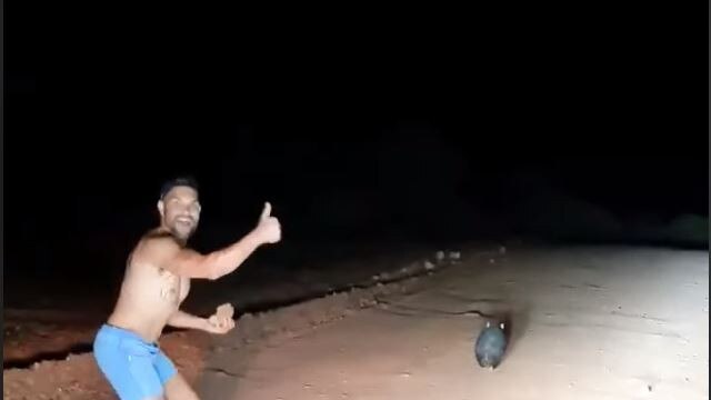 Waylon Johncock caught on camera chasing a wombat before stoning it. Picture: Wombat Awareness Organisation.