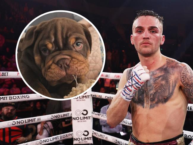 Sam Goodman was so broke he had to steal dog food to make ends meet.