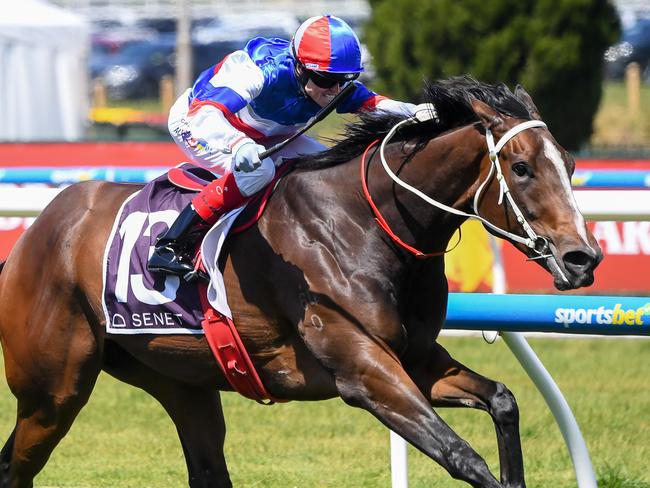 Aviatress wins the Northwood Plume Stakes at Caulfield last year. Picture: Pat Scala/Racing Photos via Getty Images