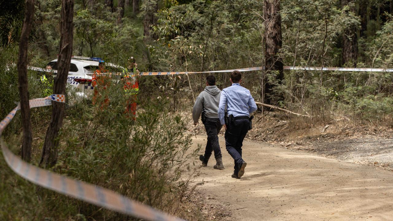 Police on the scene. Picture: NCA NewsWire / Diego Fedele