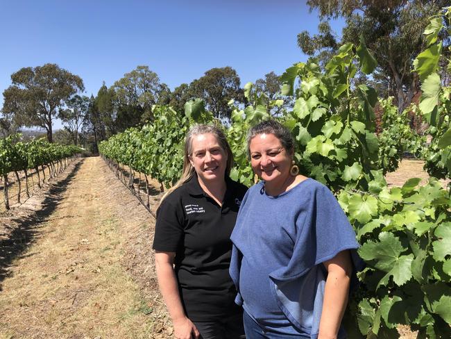 College winemaker Arantza Milicua Celador (left) with visiting winemaker Paola Cabesaz. Picture: Des Houghton