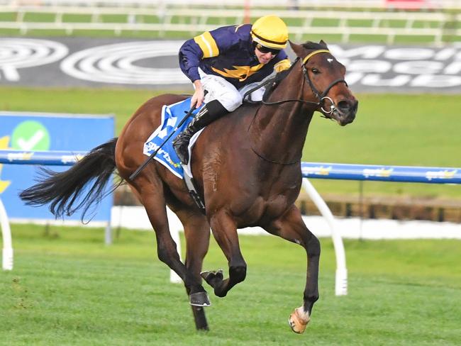 Oak Hill (NZ) ridden by Damian Lane wins the Sportsbet Same Race Multi Handicap at Sportsbet Sandown Hillside Racecourse on June 05, 2024 in Springvale, Australia. (Photo by Pat Scala/Racing Photos via Getty Images)