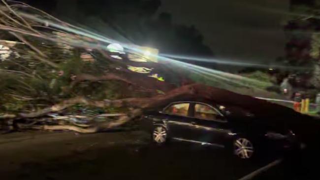 A large tree fell across, and damaged several cars at a neighbourhood shopping centre at Toongabbie overnight. Picture; SES Blacktown