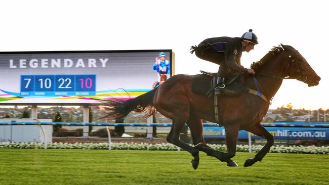 Champion mare Winx cruised around Moonee Valley on Saturday. She aim to defend her Cox Plate title at the Valley on Saturday. Picture: Colleen Petch