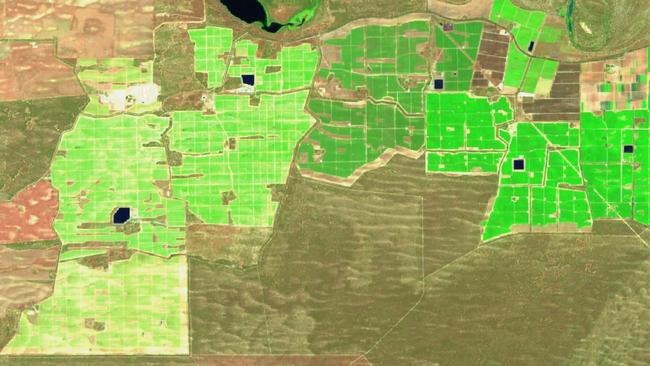 Thirsty crop: Satellite images show massive growth in almond plantings along the Murray River over the past five years, from Victoria and NSW to South Australia.