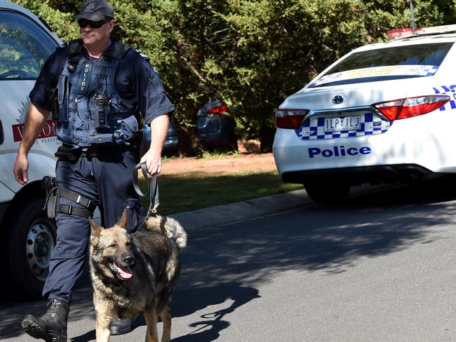 Police dogs are at the scene. Picture: Nicole Garmston