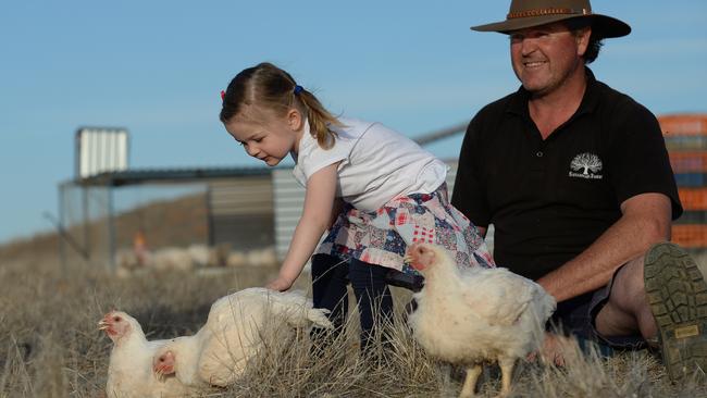 Farmer Phil Lally and his daughter, Zara on their Clare Valley property with some of their chickens. Picture: Naomi Jellicoe