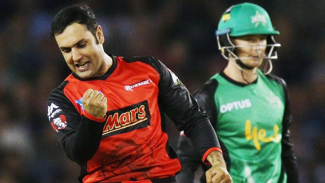 Mohammad Nabi celebrates another Big Bash wicket.