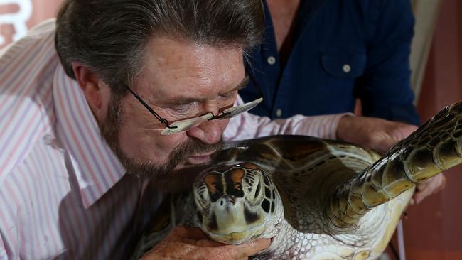 Senator Derryn Hinch gives Midge the rescued sea turtle a kiss in Cairns. Picture: Stewart McLean