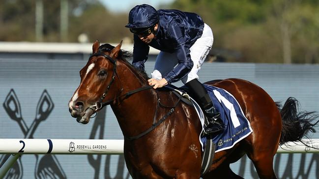 Gai Waterhouse is keen to run Storm Boy in The Everest. Picture: Jeremy Ng/Getty Images