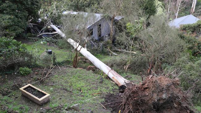 Kaola Street in Belgrave was hit hard in on Thursday night. Picture: David Crosling