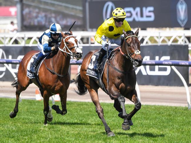 Without A Fight (IRE) ridden by Mark Zahra wins the Lexus Melbourne Cup at Flemington Racecourse on November 07, 2023 in Flemington, Australia. (Photo by Pat Scala/Racing Photos via Getty Images)