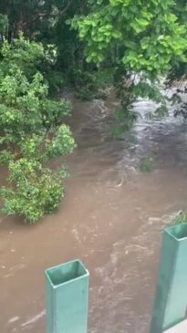 Samford Creek flooding on January 30, 2024