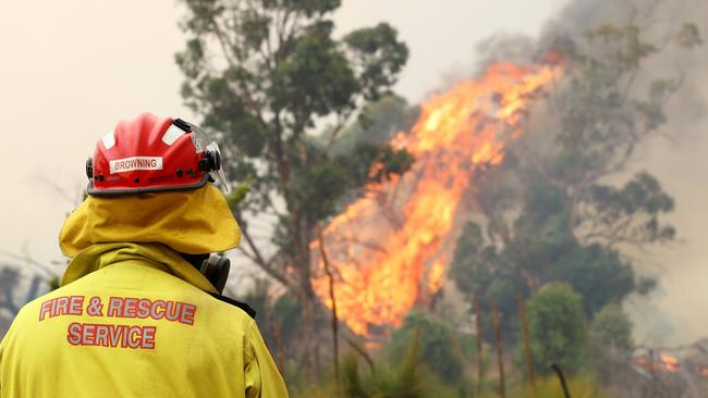 The grass fire risk could make way for more intense bushfires in the following months. (Photo by Paul Kane/Getty Images)