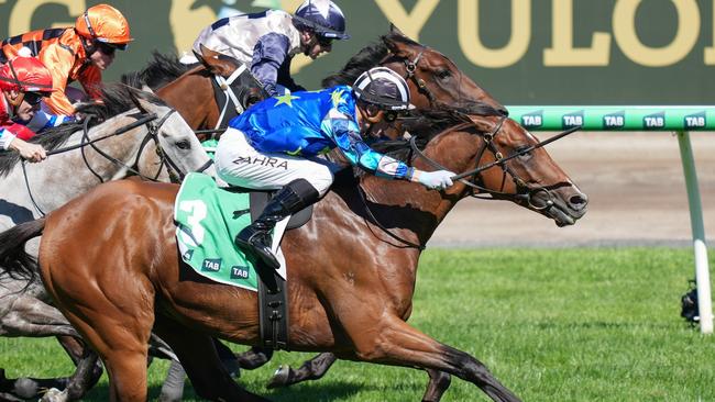 Middle Earth (GB) ridden by Mark Zahra wins the TAB Australian Cup Prelude at Flemington Racecourse on March 08, 2025 in Flemington, Australia. (Photo by Scott Barbour/Racing Photos via Getty Images)