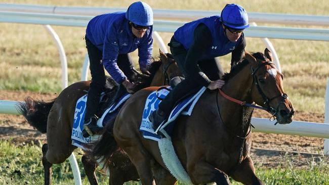 Ispolini (left) and Cross Counter have thrived since arriving at Werribee. Picture: AAP