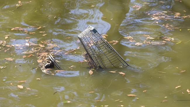 An abandoned shopping trolley in the Cooks River near Tasker Park. Picture: Melvyn Knipe