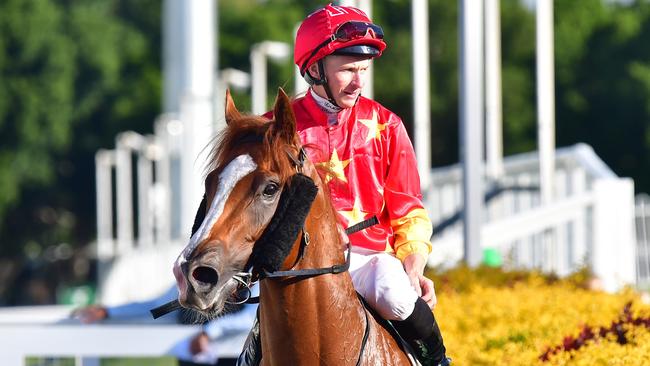 Beadman is named after champion jockey Darren Beadman. Picture: Bethany Allday/Trackside Photography